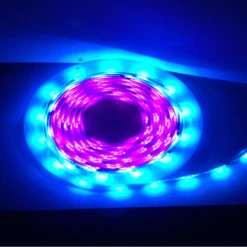 5M Flag Pole Pre-Set Digital Led Dream Lights Strip -CampGearHub digital 1 2 1